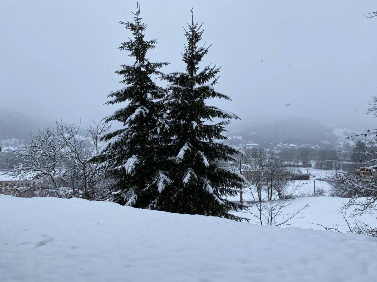 Ma Jolie Camyna Villa Ramonchamp Dış mekan fotoğraf